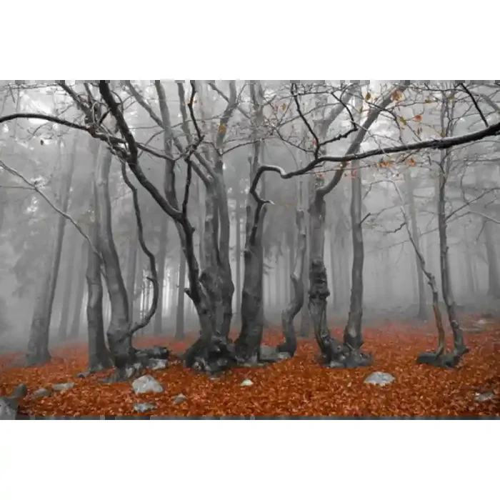 Fotomural Decorativo FV030, 150cm. x 100cm., Vinilo Autoadhesivo Mate, Todo Color, Original, 0x0x0x0 cm.