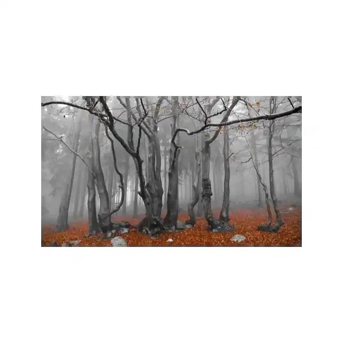 Fotomural Decorativo FV030, 273cm. x 156cm., Vinilo Autoadhesivo Mate, Todo Color, Original, 0x13x0x13 cm.