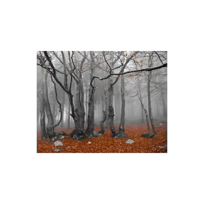 Fotomural Decorativo FV030, 284cm. x 225cm., Vinilo Autoadhesivo Mate, Todo Color, Original, 44.72x0x0.3×0 cm.