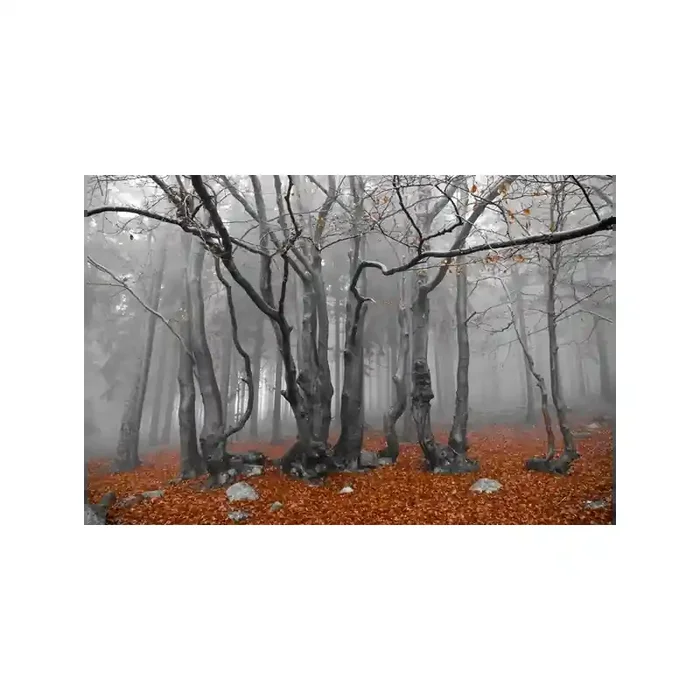Fotomural Decorativo FV030, 350cm. x 234.5cm., Vinilo Autoadhesivo Mate, Todo Color, Original, 0x0x0x0 cm.