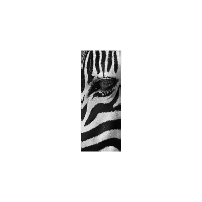 Fotomural Decorativo FV032, 100cm. x 270cm., Vinilo Autoadhesivo Mate, Todo Color, Original, 2.8x0x72.63×0 cm.