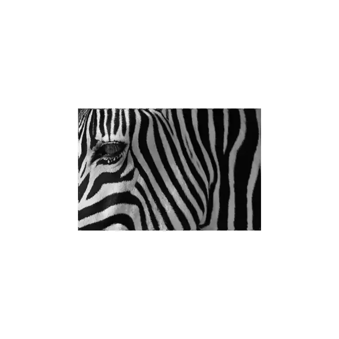 Fotomural Decorativo FV032, 180cm. x 130cm., Vinilo Autoadhesivo Mate, Todo Color, Original, 0x0x0x0 cm.
