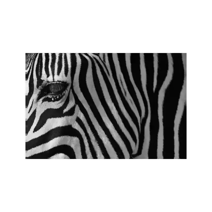 Fotomural Decorativo FV032, 300cm. x 200cm., Vinilo Autoadhesivo Mate, Todo Color, Original, 0.75x0x0.75×0 cm.
