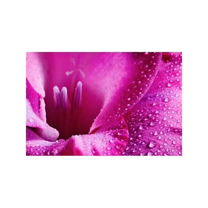 Fotomural Decorativo FV036