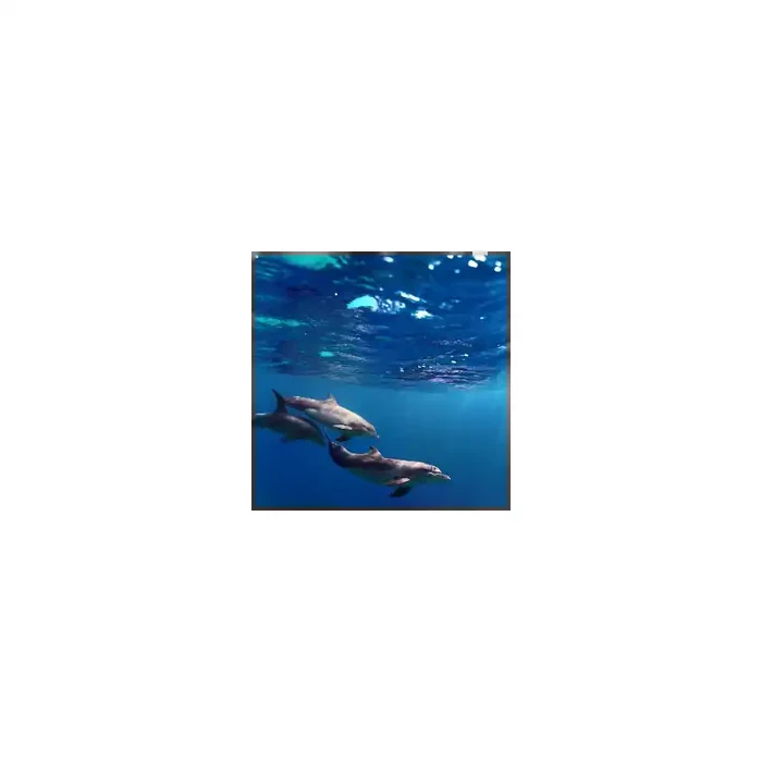 Fotomural Delfines FAN005, 140cm. x 140cm., Vinilo Autoadhesivo Mate, Todo Color, Original, 0x0x0x0 cm.