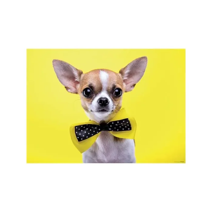 Fotomural DOG