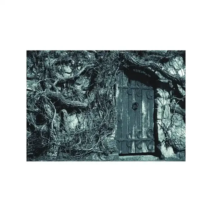 Fotomural DOOR OF PAST FT-0332