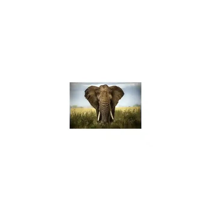 Fotomural Elefante FAN034, 140cm. x 93.1cm., Vinilo Autoadhesivo Mate, Todo Color, Original, 0x0x0x0 cm.