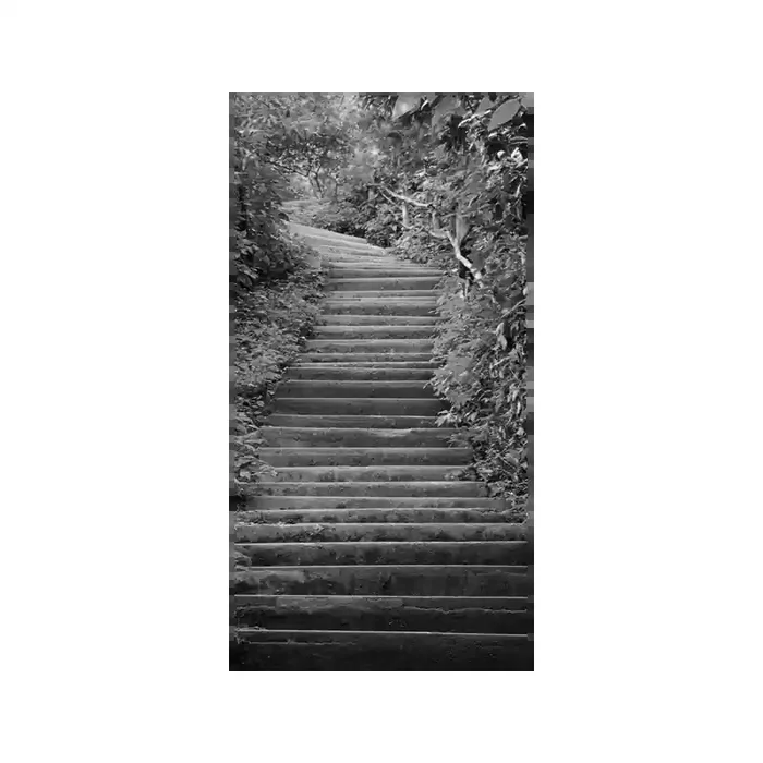 Fotomural Escadas Naturaleza FPR009, 100cm. x 195cm., Vinilo Autoadhesivo Mate, Blanco y Negro, Original, 17.68x0x17.68×0 cm.