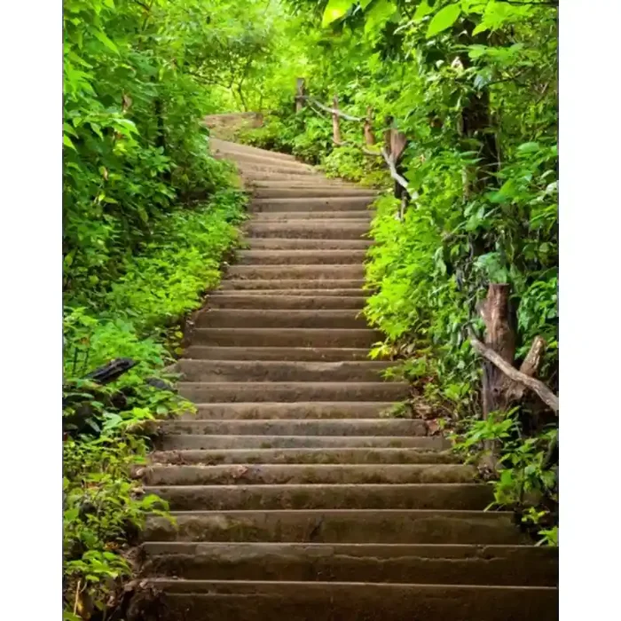 Fotomural Escaleras Naturaleza FPR009, 185cm. x 233.2cm., Vinilo Autoadhesivo Mate, Todo Color, Original, 0x0x0x0 cm.
