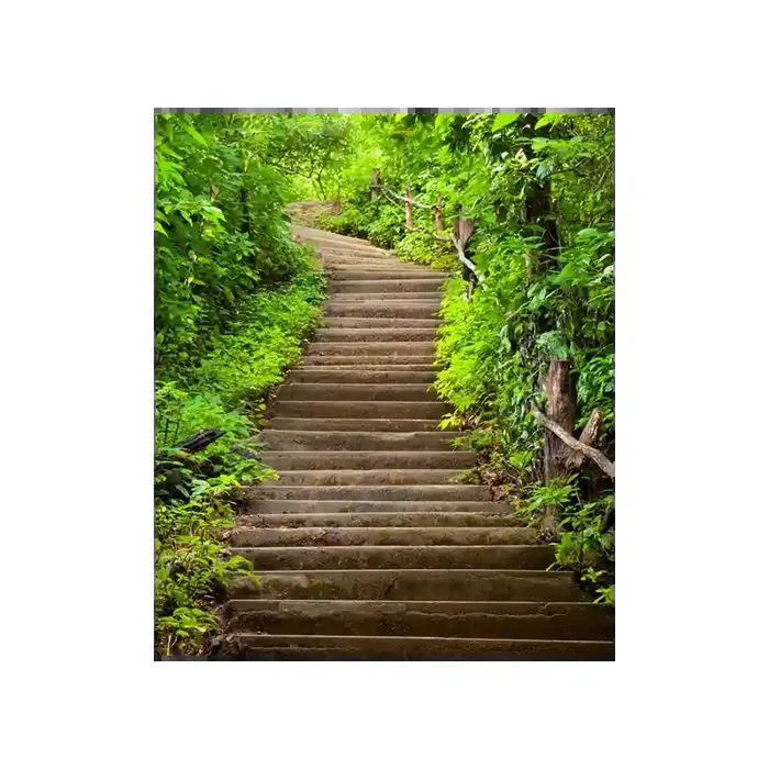 Fotomural Escaleras Naturaleza FPR009, 194cm. x 230cm., Vinilo Autoadhesivo Mate, Todo Color, Original, 0x7.27x0x7.27 cm.
