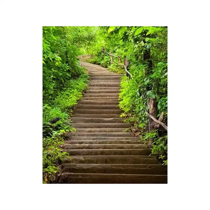 Fotomural Escaleras Naturaleza FPR009