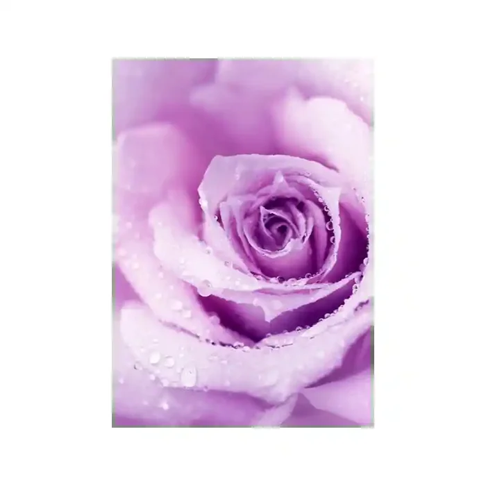 Fotomural Flor Rosa FFL003, 140cm. x 200cm., Vinilo Autoadhesivo Mate, Todo Color, Original, 19.4x0x19.4×0 cm.