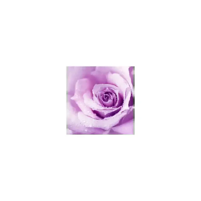 Fotomural Flor Rosa FFL003, 195cm. x 201.4cm., Vinilo Autoadhesivo Mate, Todo Color, Original, 0x0x0x0 cm.