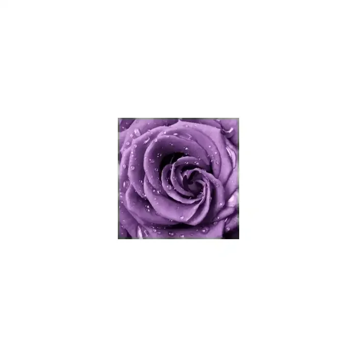 Fotomural Flor Violeta FFL004, 195cm. x 195cm., Vinilo Autoadhesivo Mate, Todo Color, Original, 0x0x0x0 cm.
