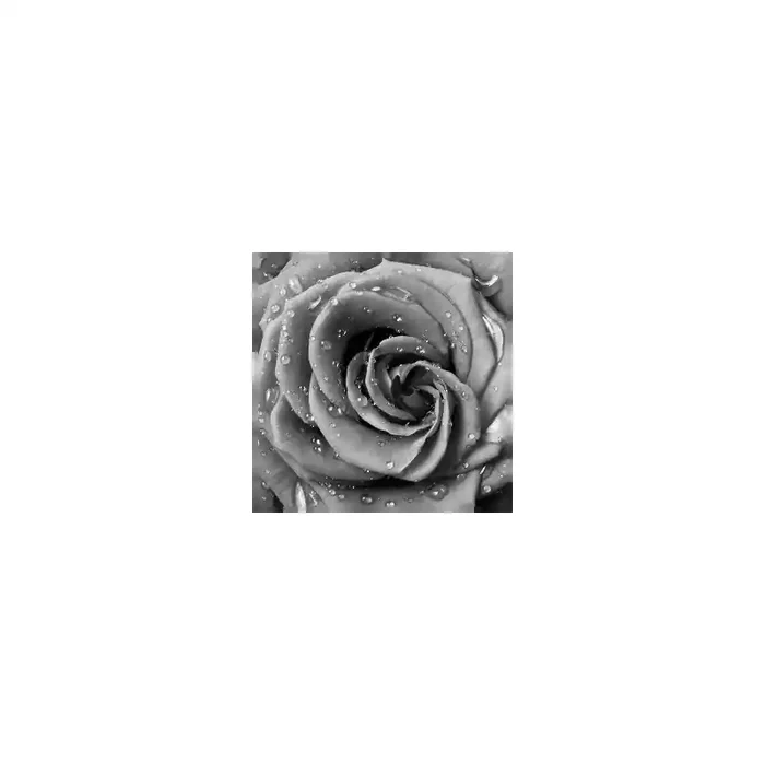 Fotomural Flor Violeta FFL004, 300cm. x 266.5cm., Vinilo Autoadhesivo Mate, Blanco y Negro, Original, 0x0x0x0 cm.