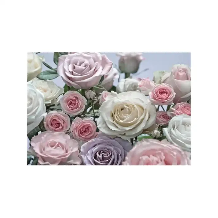 Fotomural FLORAISON