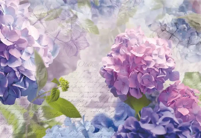 fotomural flores morado y azul de Sanders & Sanders – 612243