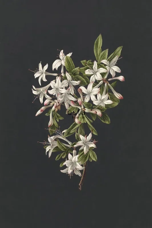 fotomural flores rosa claro y negro de ESTAhome – 158885