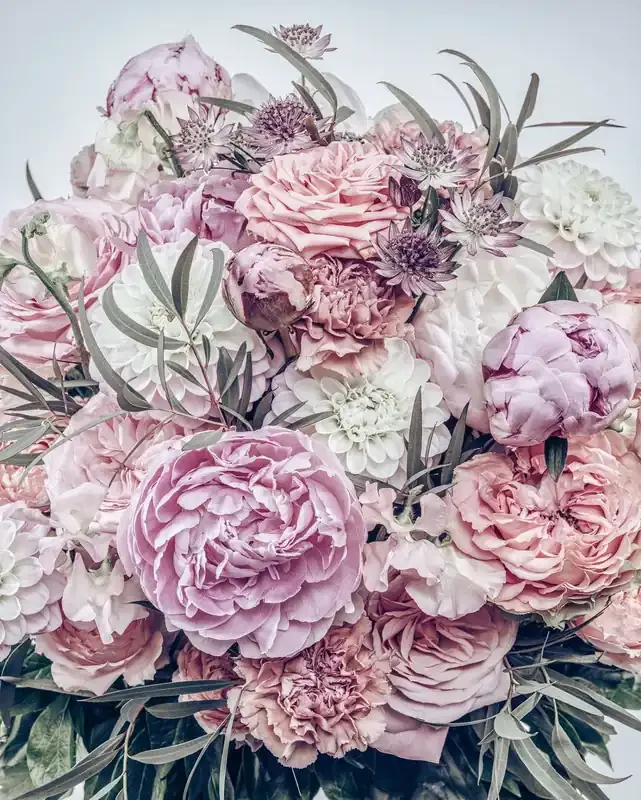 fotomural flores rosa de Komar – 611173