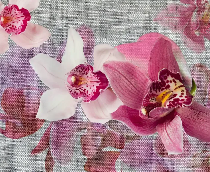 fotomural flores rosa de Sanders & Sanders – 600496