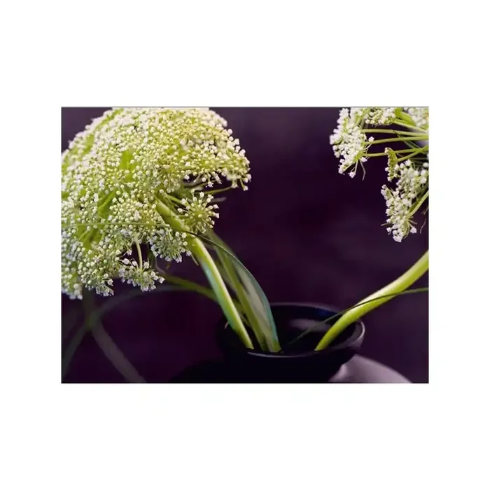 Fotomural FLOWER UMBRELLA FT-0178