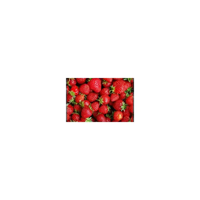 Fotomural Fresas FAL013, 100cm. x 240cm., Vinilo Autoadhesivo Mate, Todo Color, Original, 0x0x0x0 cm.