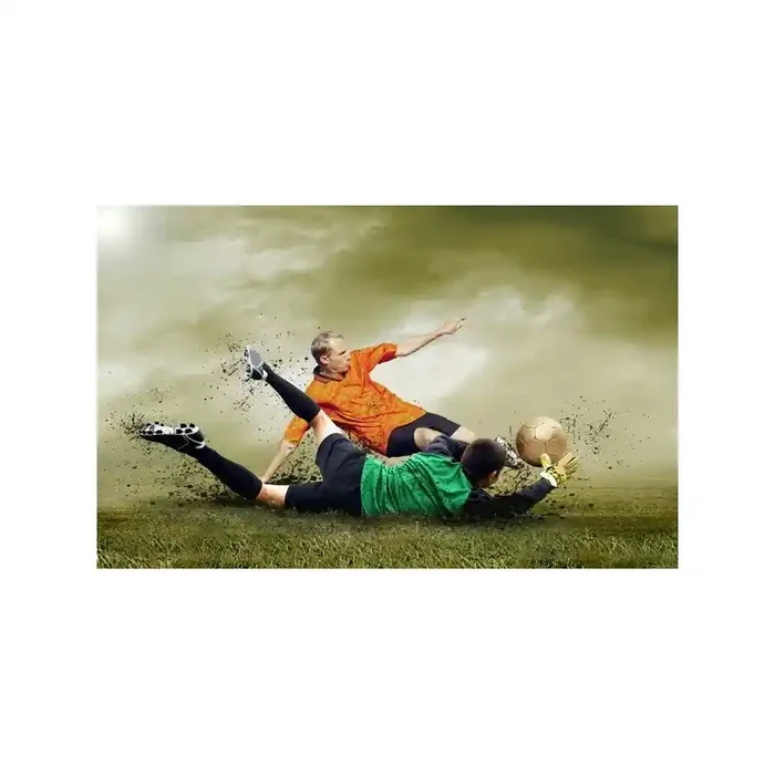 Fotomural Futbol FDE004