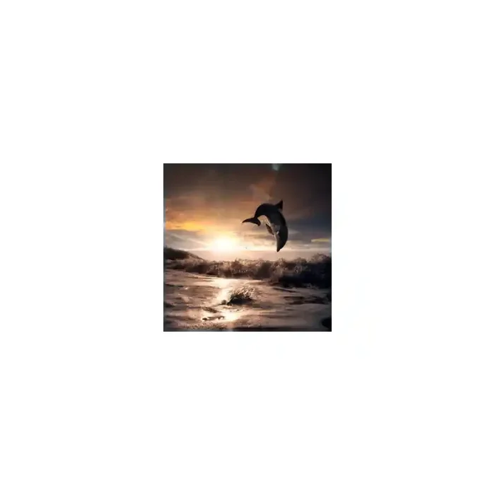 Fotomural Golfinho FAN010, 100cm. x 100cm., Vinilo Autoadhesivo Mate, Todo Color, Original, 0x0x0x0 cm.