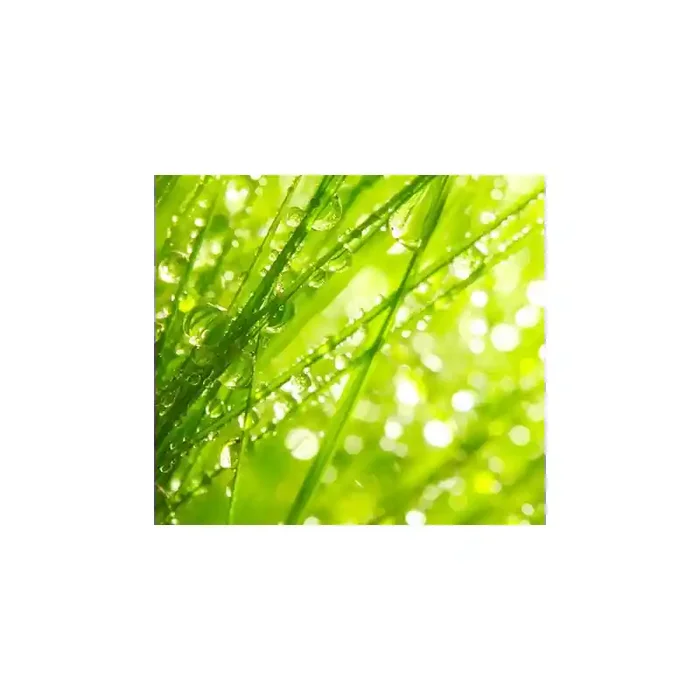 Fotomural Hierba Fresca FNA004, 100cm. x 90cm., Vinilo Autoadhesivo Mate, Todo Color, Original, 12.96x0x12.96×0 cm.