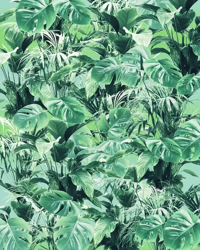 fotomural hojas de la selva verde de Sanders & Sanders – 612349