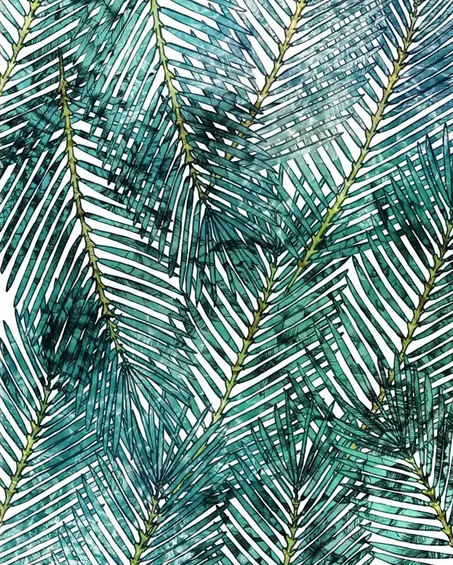fotomural hojas de palma verde de Sanders & Sanders – 612351