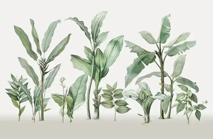 fotomural hojas de palmera blanco y verde de Sanders & Sanders – 640916