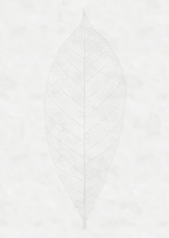 fotomural hojas gris claro de Sanders & Sanders – 612405