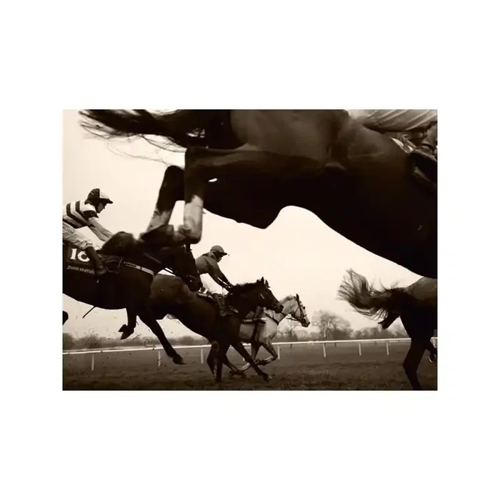 Fotomural HORSERACE FT-0139