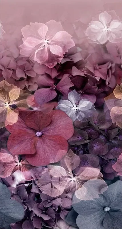 fotomural hortensias morado de Erismann – 661075