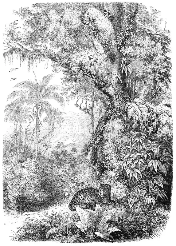 fotomural jungla blanco y negro de ESTAhome – 158945