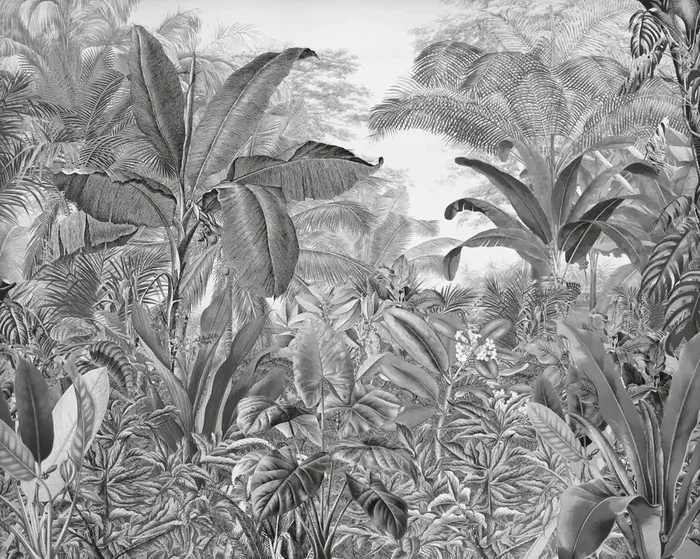fotomural jungla blanco y negro de Komar – 610854