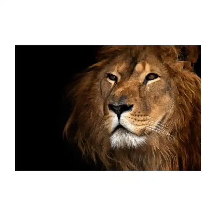 Fotomural Leon FAN012, 100cm. x 67cm., Vinilo Autoadhesivo Mate, Todo Color, Original, 0x0x0x0 cm.