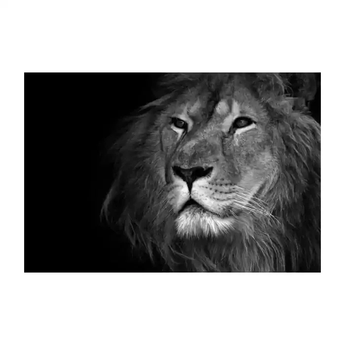 Fotomural Leon FAN012, 150cm. x 100cm., Vinilo Autoadhesivo Mate, Blanco y Negro, Original, 0x0x0x0 cm.