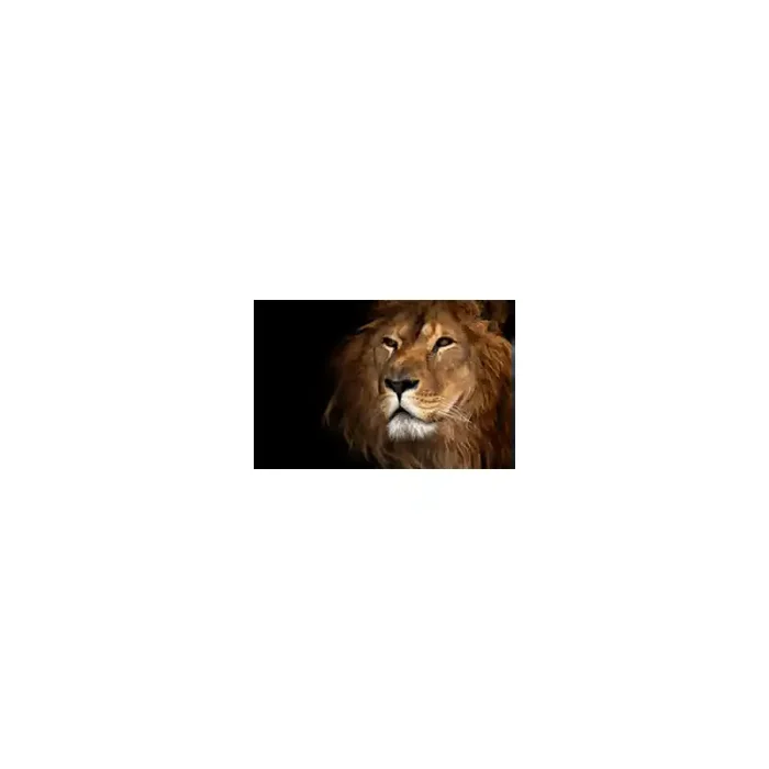 Fotomural Leon FAN012, 180cm. x 134cm., Vinilo Autoadhesivo Mate, Todo Color, Original, 0x0x0x0 cm.