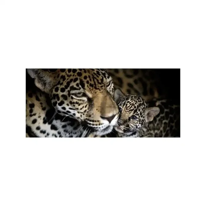 Fotomural LEOPARDS