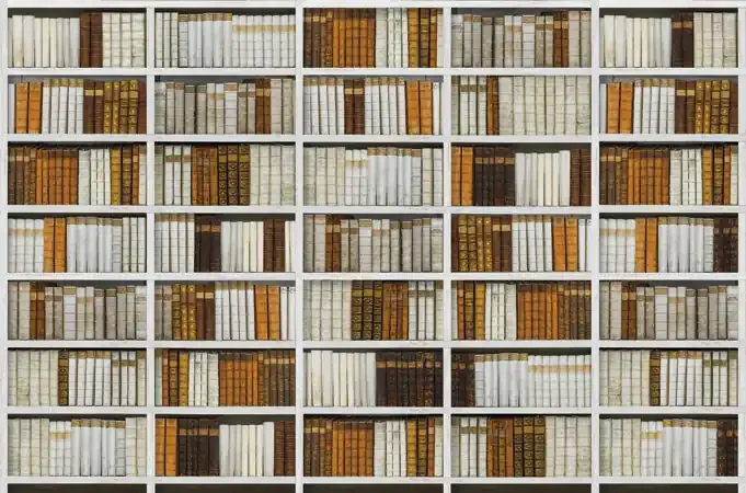 fotomural librería multicolor de Sanders & Sanders – 640977