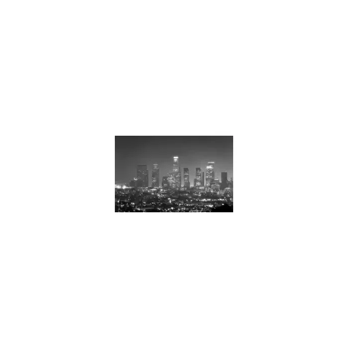 Fotomural Los Angeles FCI010, 373.1cm. x 250cm., Vinilo Autoadhesivo Mate, Blanco y Negro, Original, 0x0x0x0 cm.