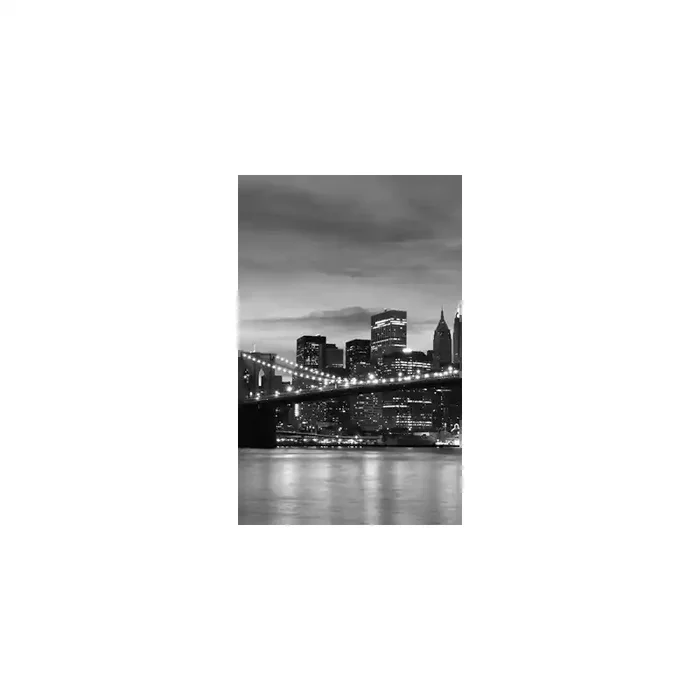 Fotomural Manhattan FLF016, 150cm. x 240cm., Vinilo Autoadhesivo Mate, Blanco y Negro, Invertir, 43.75x0x43.75×0 cm.