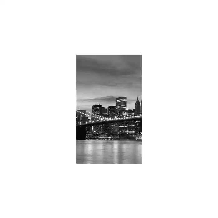 Fotomural Manhattan FLF016, 150cm. x 250cm., Vinilo Autoadhesivo Mate, Todo Color, Invertir, 45x0x45x0 cm.