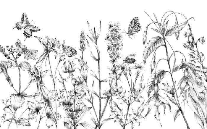 fotomural mariposas blanco y negro de Komar – 610031