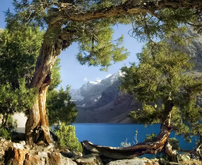 fotomural montañas azul, verde y beige de Sanders & Sanders – 600483