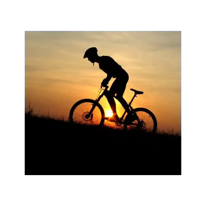 Fotomural Mountain Bike FDE002, 120cm. x 110cm., Vinilo Autoadhesivo Mate, Todo Color, Original, 0x2.3x0x2.3 cm.