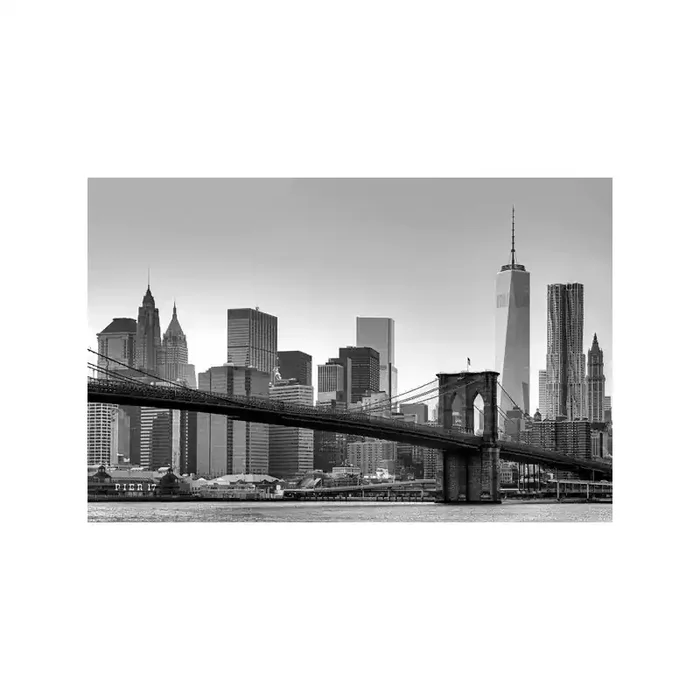 Fotomural NEW YORK 622